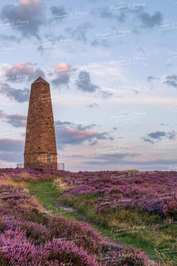 To buy a print or any of the below please click on the images